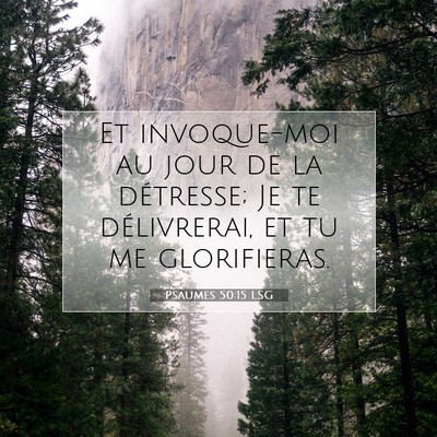 Picture 07 - Psaumes 50:15 LSG - Et invoque-moi au jour de la détresse; Je te - Bible Verse Picture