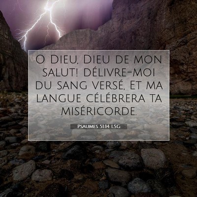 Picture 07 - Psaumes 51:14 LSG - O Dieu, Dieu de mon salut! délivre-moi du sang - Bible Verse Picture
