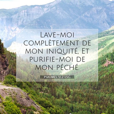 Picture 07 - Psaumes 51:2 LSG - Lave-moi complètement de mon iniquité, Et - Bible Verse Picture