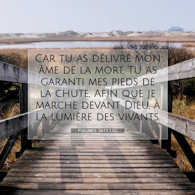 Picture 07 - Psaumes 56:13 LSG - Car tu as délivré mon âme de la mort, Tu as - Bible Verse Picture
