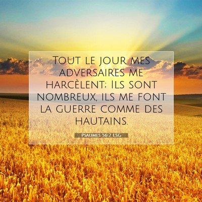 Picture 07 - Psaumes 56:2 LSG - Tout le jour mes adversaires me harcèlent; Ils - Bible Verse Picture