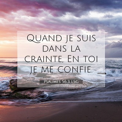 Picture 07 - Psaumes 56:3 LSG - Quand je suis dans la crainte, En toi je me - Bible Verse Picture