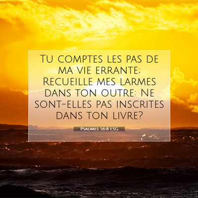 Picture 07 - Psaumes 56:8 LSG - Tu comptes les pas de ma vie errante; Recueille - Bible Verse Picture