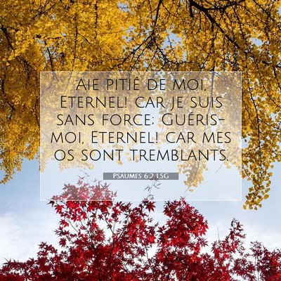 Picture 07 - Psaumes 6:2 LSG - Aie pitié de moi, Eternel! car je suis sans - Bible Verse Picture