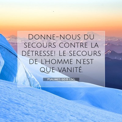 Picture 07 - Psaumes 60:11 LSG - Donne-nous du secours contre la détresse! Le - Bible Verse Picture