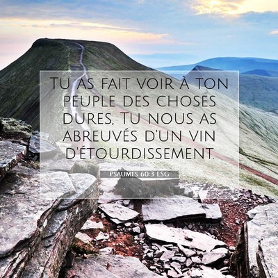 Picture 07 - Psaumes 60:3 LSG - Tu as fait voir à ton peuple des choses dures, - Bible Verse Picture