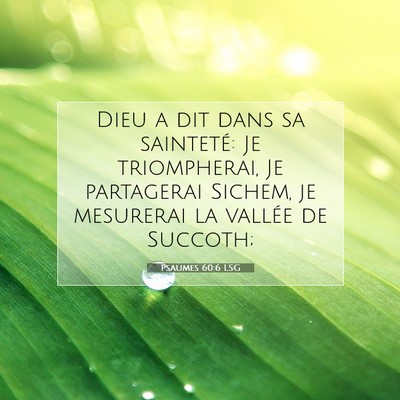Picture 07 - Psaumes 60:6 LSG - Dieu a dit dans sa sainteté: Je triompherai, Je - Bible Verse Picture