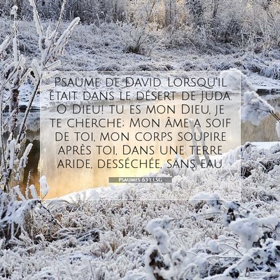 Picture 07 - Psaumes 63:1 LSG - Psaume de David. Lorsqu'il était dans le désert - Bible Verse Picture