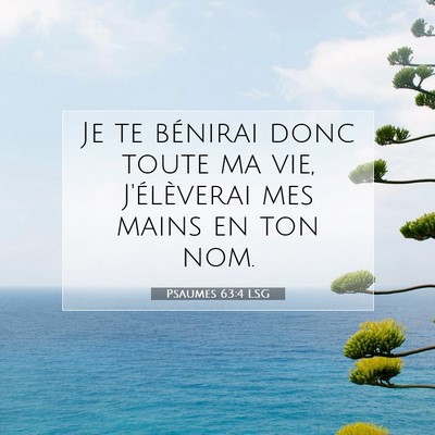 Picture 07 - Psaumes 63:4 LSG - Je te bénirai donc toute ma vie, J'élèverai - Bible Verse Picture