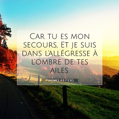 Picture 07 - Psaumes 63:7 LSG - Car tu es mon secours, Et je suis dans - Bible Verse Picture