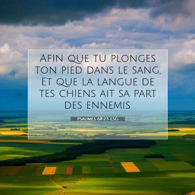 Picture 07 - Psaumes 68:23 LSG - Afin que tu plonges ton pied dans le sang, Et que - Bible Verse Picture