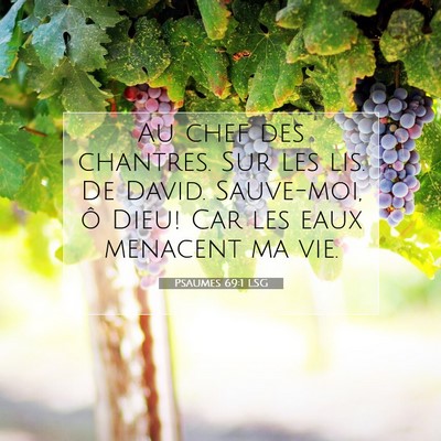 Picture 07 - Psaumes 69:1 LSG - Au chef des chantres. Sur les lis. De David. - Bible Verse Picture