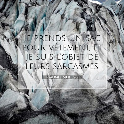 Picture 07 - Psaumes 69:11 LSG - Je prends un sac pour vêtement, Et je suis - Bible Verse Picture