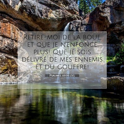 Picture 07 - Psaumes 69:14 LSG - Retire-moi de la boue, et que je n'enfonce plus! - Bible Verse Picture
