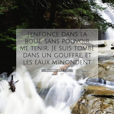 Picture 07 - Psaumes 69:2 LSG - J'enfonce dans la boue, sans pouvoir me tenir; Je - Bible Verse Picture