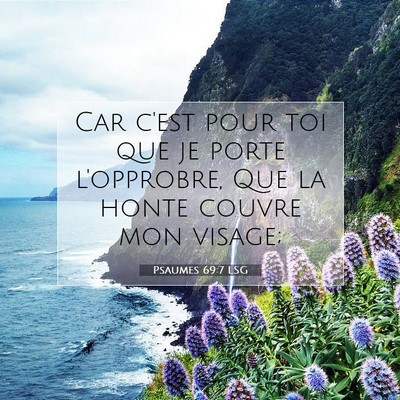 Picture 07 - Psaumes 69:7 LSG - Car c'est pour toi que je porte l'opprobre, Que - Bible Verse Picture
