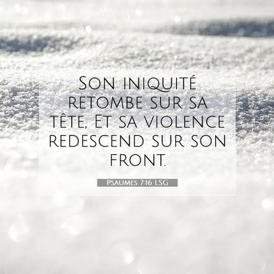 Picture 07 - Psaumes 7:16 LSG - Son iniquité retombe sur sa tête, Et sa - Bible Verse Picture