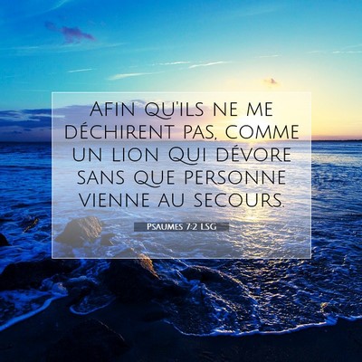 Picture 07 - Psaumes 7:2 LSG - Afin qu'ils ne me déchirent pas, comme un lion - Bible Verse Picture