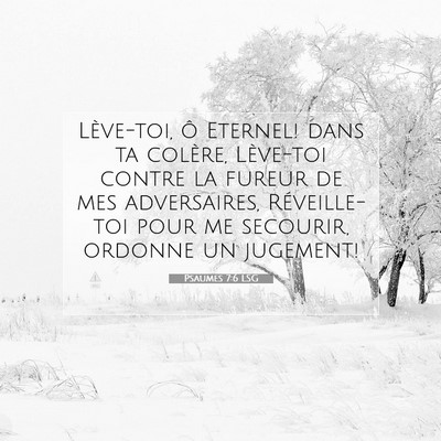 Picture 07 - Psaumes 7:6 LSG - Lève-toi, ô Eternel! dans ta colère, Lève-toi - Bible Verse Picture