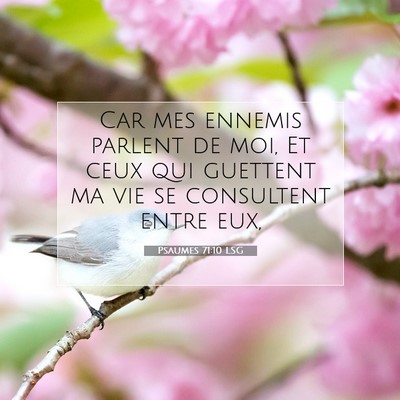 Picture 07 - Psaumes 71:10 LSG - Car mes ennemis parlent de moi, Et ceux qui - Bible Verse Picture
