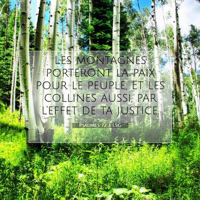 Picture 07 - Psaumes 72:3 LSG - Les montagnes porteront la paix pour le peuple, - Bible Verse Picture