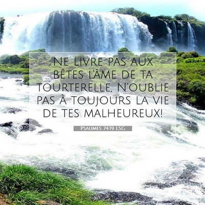 Picture 07 - Psaumes 74:19 LSG - Ne livre pas aux bêtes l'âme de ta tourterelle, - Bible Verse Picture