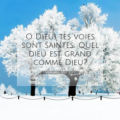 Picture 07 - Psaumes 77:13 LSG - O Dieu! tes voies sont saintes; Quel dieu est - Bible Verse Picture