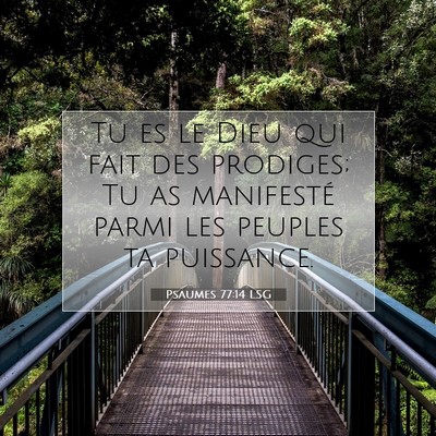 Picture 07 - Psaumes 77:14 LSG - Tu es le Dieu qui fait des prodiges; Tu as - Bible Verse Picture