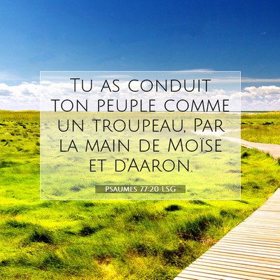 Picture 07 - Psaumes 77:20 LSG - Tu as conduit ton peuple comme un troupeau, Par - Bible Verse Picture