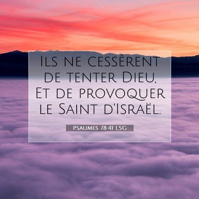 Picture 07 - Psaumes 78:41 LSG - Ils ne cessèrent de tenter Dieu, Et de provoquer - Bible Verse Picture
