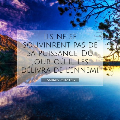 Picture 07 - Psaumes 78:42 LSG - Ils ne se souvinrent pas de sa puissance, Du jour - Bible Verse Picture