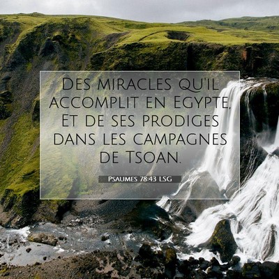 Picture 07 - Psaumes 78:43 LSG - Des miracles qu'il accomplit en Egypte, Et de ses - Bible Verse Picture