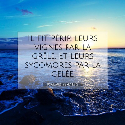 Picture 07 - Psaumes 78:47 LSG - Il fit périr leurs vignes par la grêle, Et - Bible Verse Picture