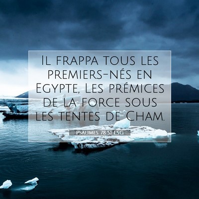 Picture 07 - Psaumes 78:51 LSG - Il frappa tous les premiers-nés en Egypte, Les - Bible Verse Picture