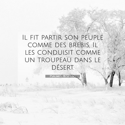 Picture 07 - Psaumes 78:52 LSG - Il fit partir son peuple comme des brebis, Il les - Bible Verse Picture