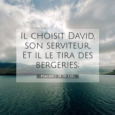 Picture 07 - Psaumes 78:70 LSG - Il choisit David, son serviteur, Et il le tira - Bible Verse Picture