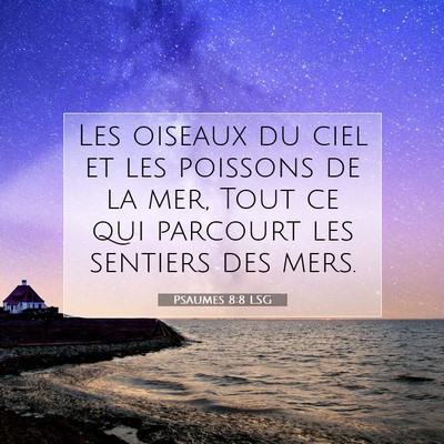 Picture 07 - Psaumes 8:8 LSG - Les oiseaux du ciel et les poissons de la mer, - Bible Verse Picture