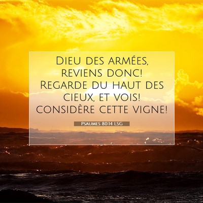 Picture 07 - Psaumes 80:14 LSG - Dieu des armées, reviens donc! Regarde du haut - Bible Verse Picture