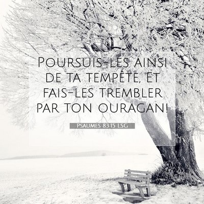 Picture 07 - Psaumes 83:15 LSG - Poursuis-les ainsi de ta tempête, Et fais-les - Bible Verse Picture
