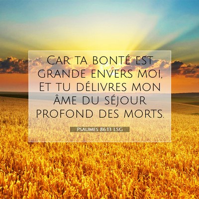 Picture 07 - Psaumes 86:13 LSG - Car ta bonté est grande envers moi, Et tu - Bible Verse Picture