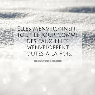 Picture 07 - Psaumes 88:17 LSG - Elles m'environnent tout le jour comme des eaux, - Bible Verse Picture