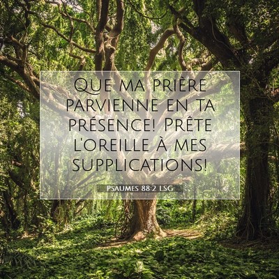 Picture 07 - Psaumes 88:2 LSG - Que ma prière parvienne en ta présence! Prête - Bible Verse Picture