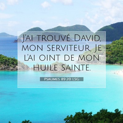 Picture 07 - Psaumes 89:20 LSG - J'ai trouvé David, mon serviteur, Je l'ai oint - Bible Verse Picture