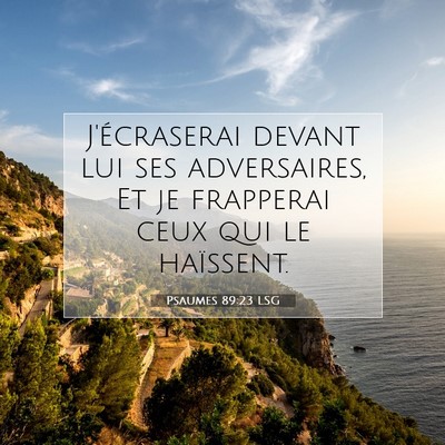 Picture 07 - Psaumes 89:23 LSG - J'écraserai devant lui ses adversaires, Et je - Bible Verse Picture