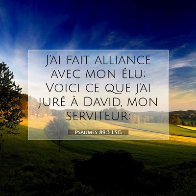 Picture 07 - Psaumes 89:3 LSG - J'ai fait alliance avec mon élu; Voici ce que - Bible Verse Picture