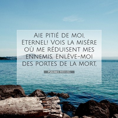 Picture 07 - Psaumes 9:13 LSG - Aie pitié de moi, Eternel! Vois la misère où - Bible Verse Picture