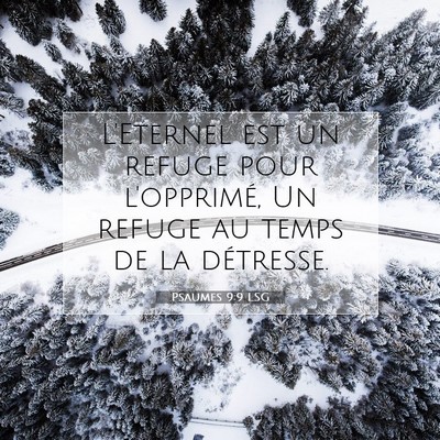 Picture 07 - Psaumes 9:9 LSG - L'Eternel est un refuge pour l'opprimé, Un - Bible Verse Picture