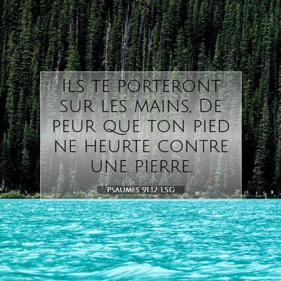 Picture 07 - Psaumes 91:12 LSG - Ils te porteront sur les mains, De peur que ton - Bible Verse Picture