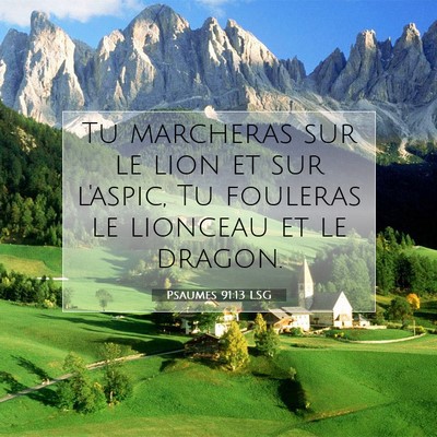 Picture 07 - Psaumes 91:13 LSG - Tu marcheras sur le lion et sur l'aspic, Tu - Bible Verse Picture