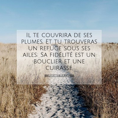 Picture 07 - Psaumes 91:4 LSG - Il te couvrira de ses plumes, Et tu trouveras un - Bible Verse Picture